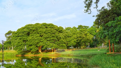 garden with pond and trees © Sunisakanphian