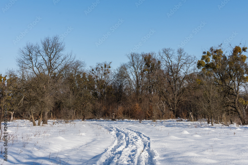 Road to the winter forest from the village Road to the winter forest from the village