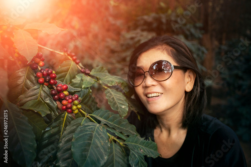 asian woman smiling face happiness emotion near raw coffee seed on tree branch photo