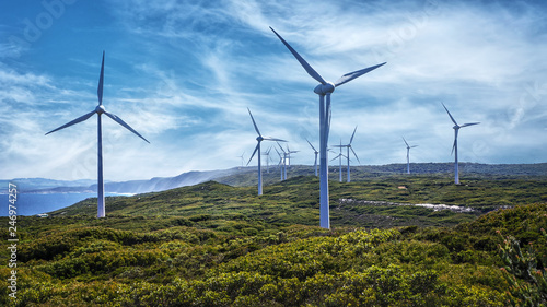 Albany Wind Farm   in Western Australia. photo
