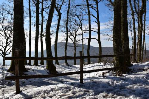 Fototapeta Naklejka Na Ścianę i Meble -  view of the wooden railing with snow of the trees in the foreground and the mountain and blue sky background
