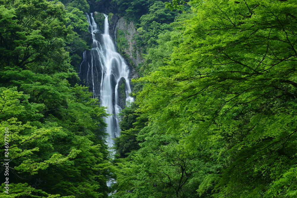 Obraz premium Famous waterfall (Kanba falls) in the Okayama, Japan