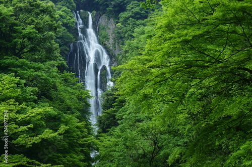 Famous waterfall (Kanba falls) in the Okayama, Japan