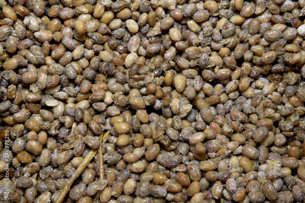 Fermented beans. Cheonggukjang or Natto Fermented beans. Cheonggukjang or Natto