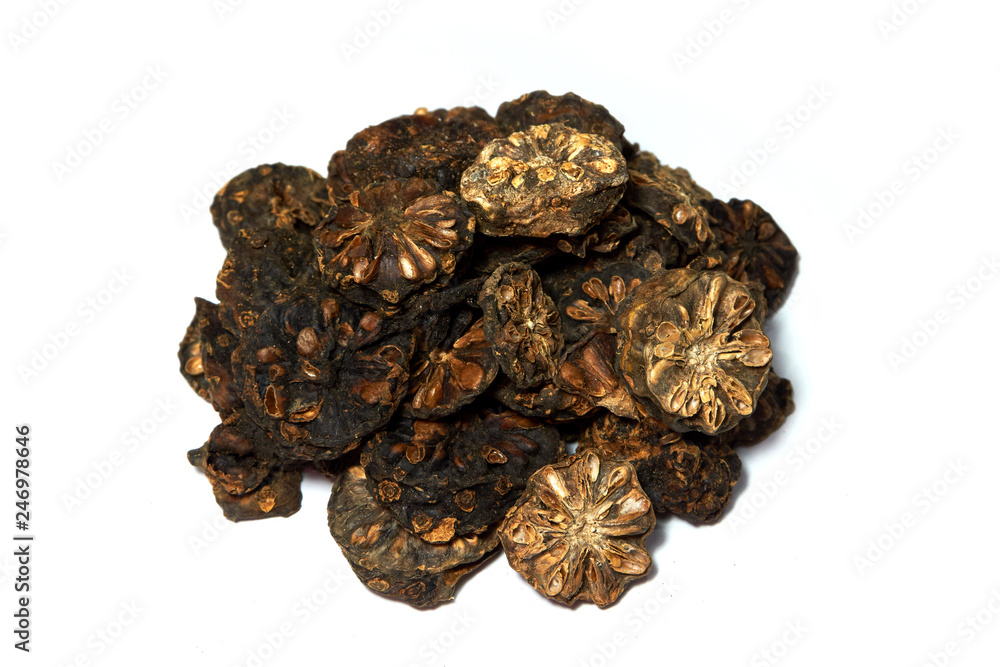 Noni fruit or Beach mulberry is cutted into pieces and dried Noni fruit or Beach mulberry is cutted into pieces and dried