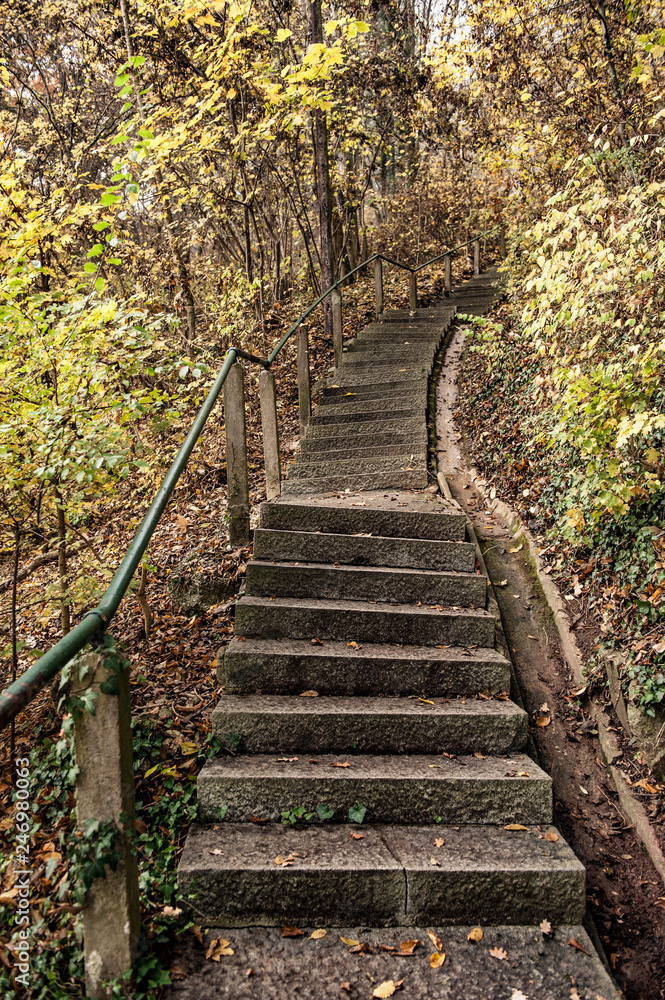 Schiefe Steintreppe mit einseitigem Geländer führt in den Wald