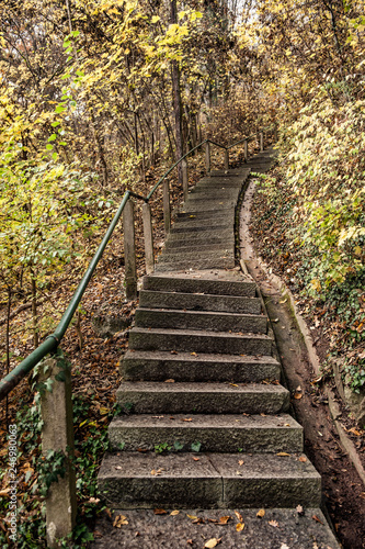 Schiefe Steintreppe mit einseitigem Geländer führt in den Wald