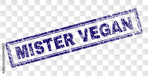 MISTER VEGAN stamp seal imprint with rubber print style and double framed rectangle shape. Stamp is placed on a transparent background.