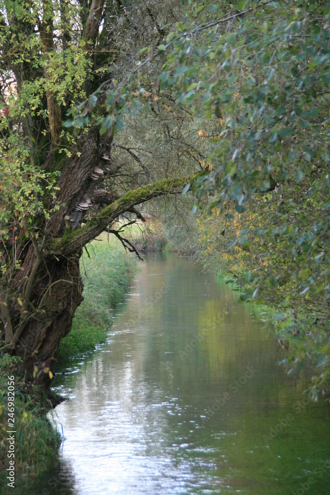 Natur Natur