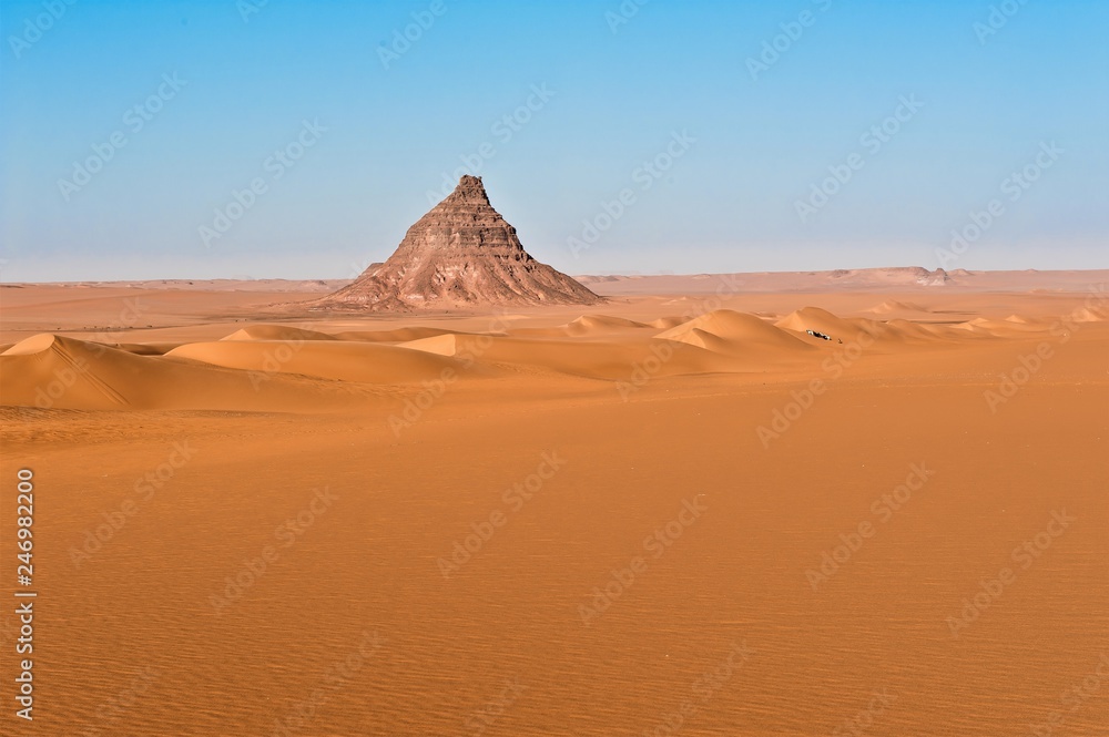Großartige Saharalandschaft mit Ziegenherde