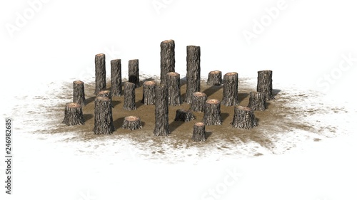 many several tree stumps on a sand area - isolated on white background