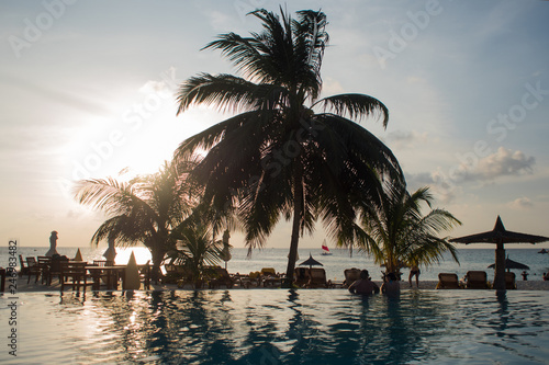 Blue water in the swimming pool and fluffy palm trees. sunset on Luxury resort on tropical iseland.