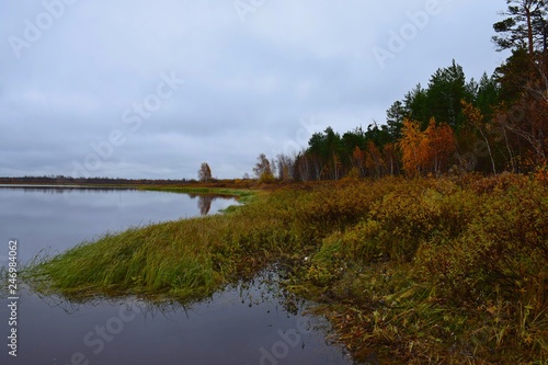 Lake Shore