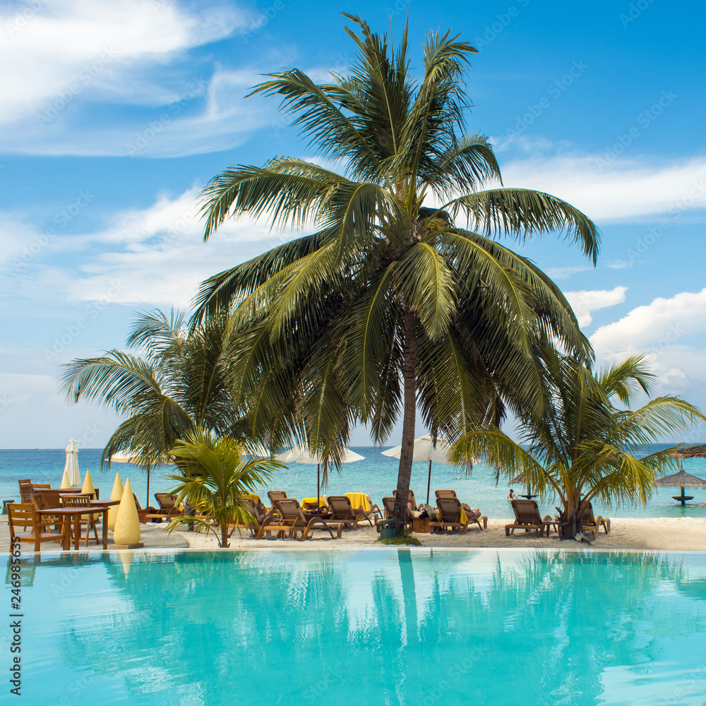 Blue water in the swimming pool and fluffy palm trees. Luxury resort on tropical iseland.