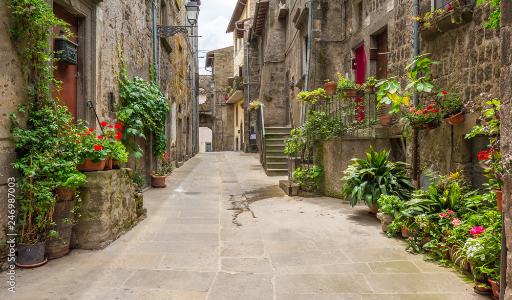 Fototapeta premium Vitorchiano, średniowieczna włoska wioska w prowincji Viterbo, Lazio, Włochy.
