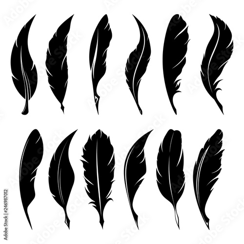 Wallpaper Mural Feathers pen black icon silhouette