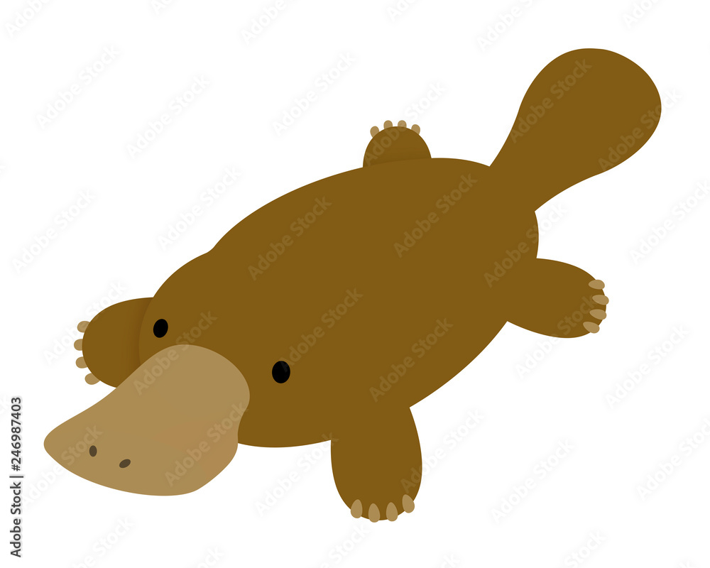 かものはし Images Browse 18 Stock Photos Vectors And Video Adobe Stock かものはし Images Browse 18 Stock Photos Vectors And Video Adobe Stock