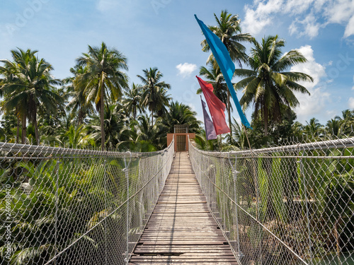 Pedestrian hanging bridge over river in tropical forest, Bohol, Philippines. November, 2018 photo