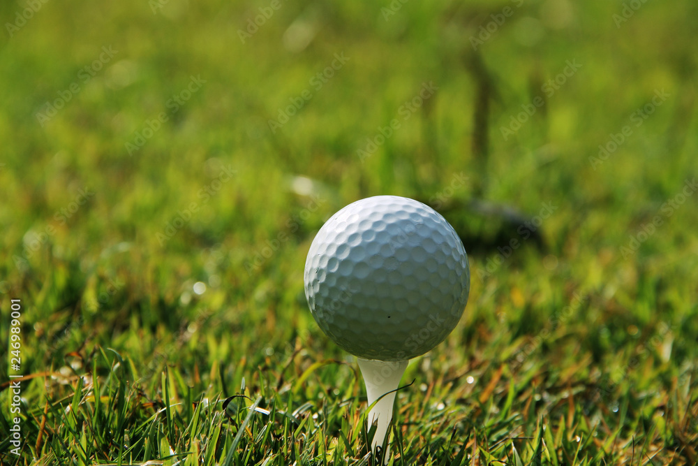 Golf ball on tee in the evening golf course with sunshine in thailand Golf ball on tee in the evening golf course with sunshine in thailand
