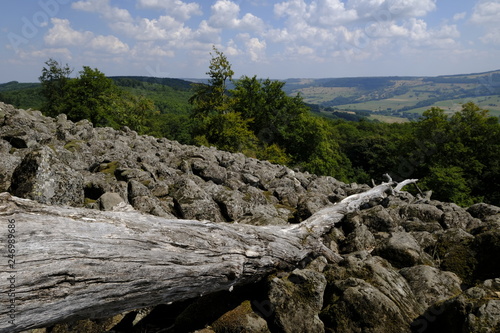 Blockschutthalden und Naturwaldreservat am Schafstein, Biosphärenreservat Rhön, Hessen, Deutschland