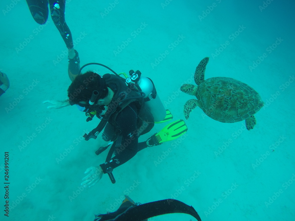 Fototapeta premium Diving fun in the Philippines