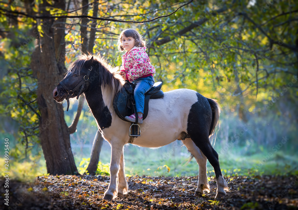 girl riding a pony in the autumn Park.
