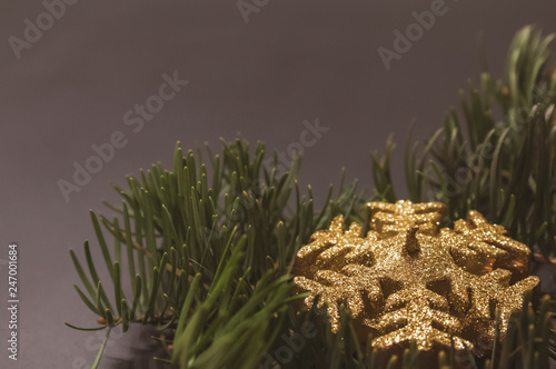 Christmas ornaments background. Winter tree branch with New Year decoration. Top view. Copy space.