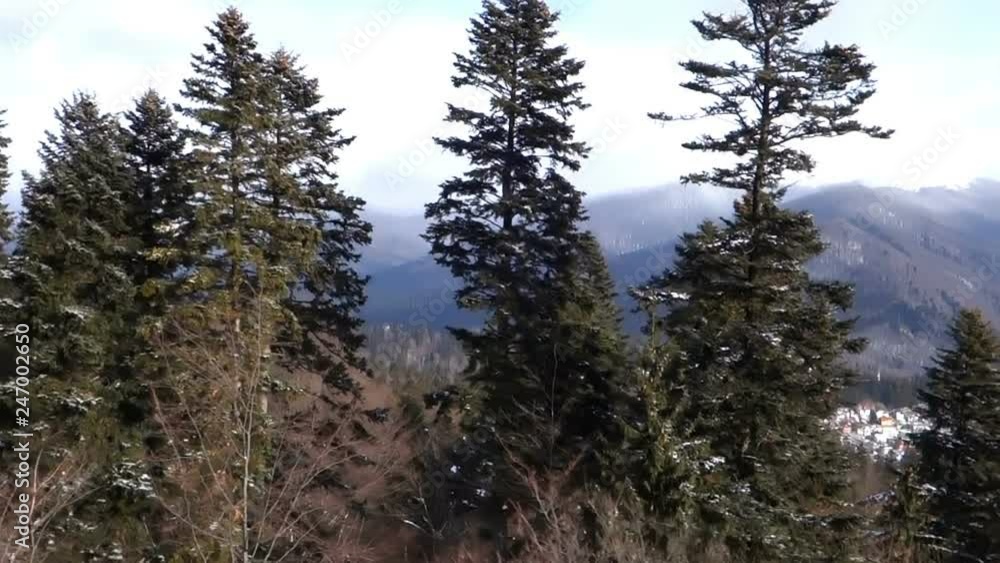 Aerial view of a beautiful mountain and forest Aerial view of a beautiful mountain and forest