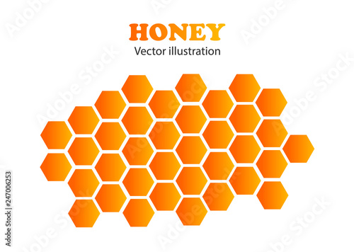 Bee honeycombs. Honey. Vector illustration.