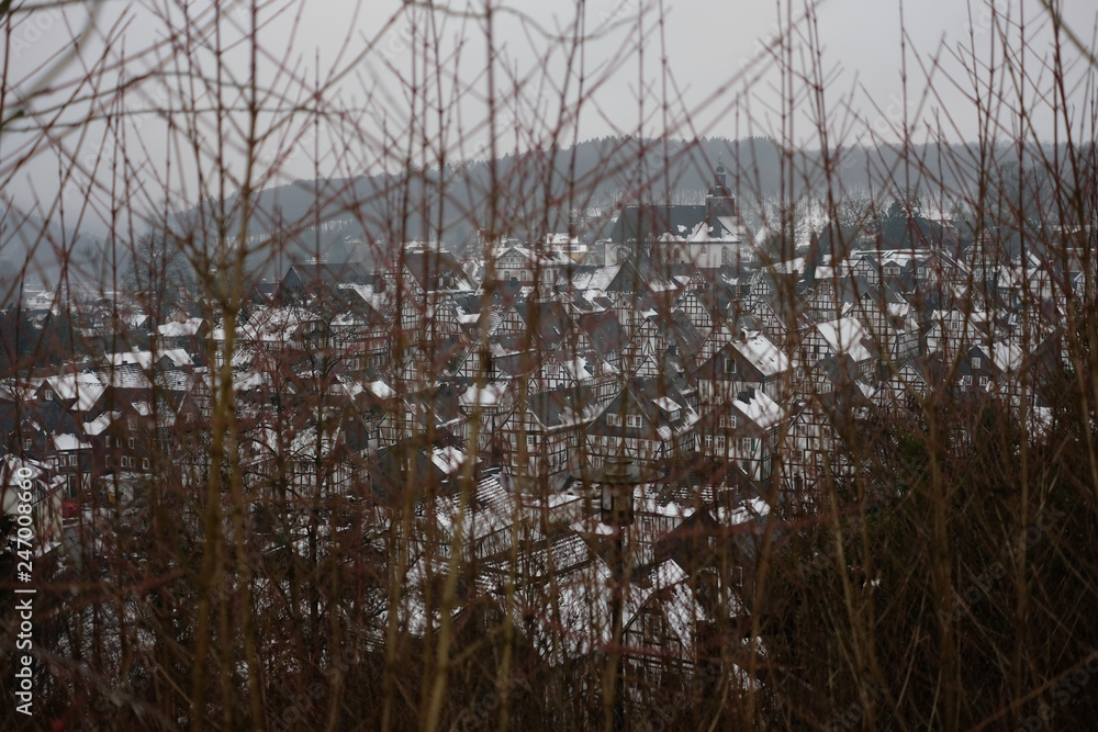 Obraz premium Winter Snow Landscape Europe January