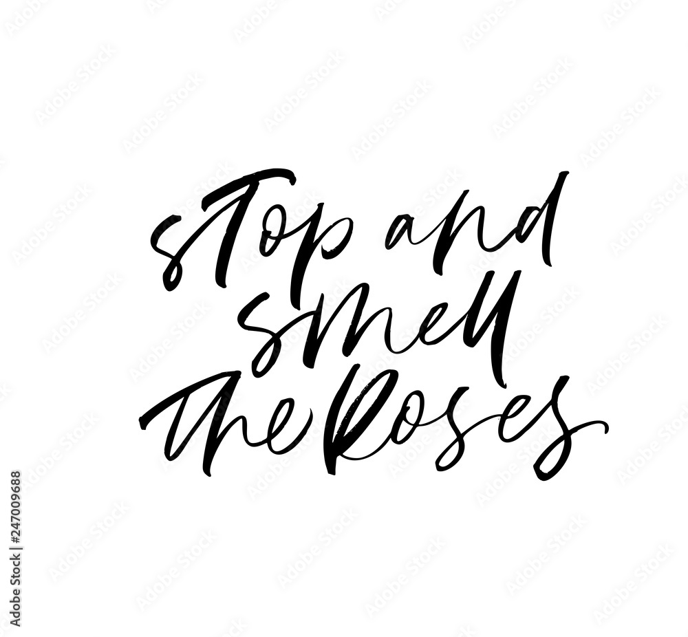 Stop and smell the roses phrase. Modern vector brush calligraphy. Stop and smell the roses phrase. Modern vector brush calligraphy.