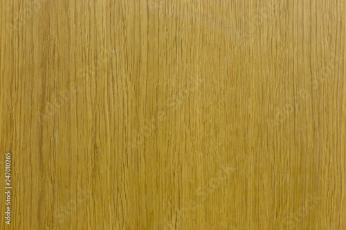 Yellow texture of lacquered oak for background and design.