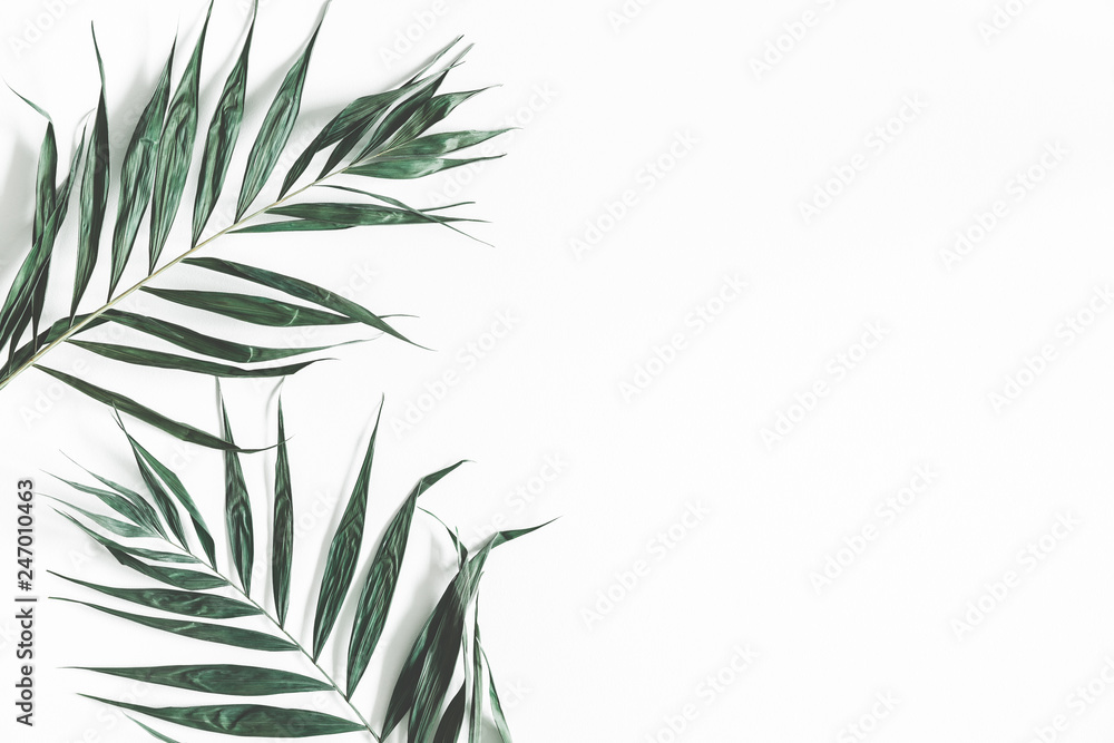 Tropical palm leaves on white background. Summer concept. Flat lay, top view, copy space