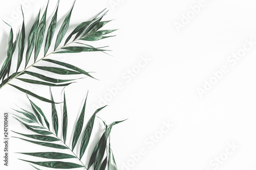 Tropical palm leaves on white background. Summer concept. Flat lay  top view  copy space