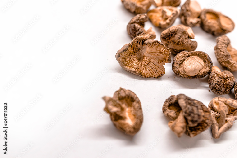 Dry Mushrooms isolated on white background.