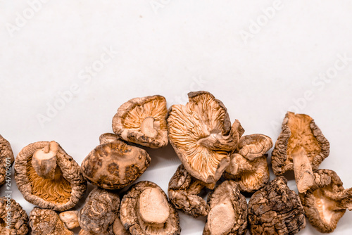 Dry Mushrooms isolated on white background.