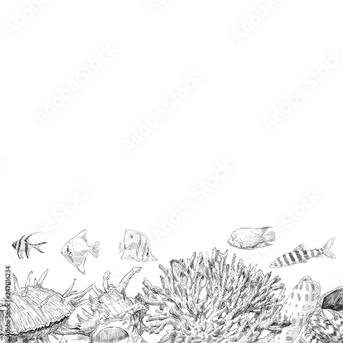 Seabed inhabitants fish and corals. Sea and ocean sketch backgrounds, hand drawn vector illustration.