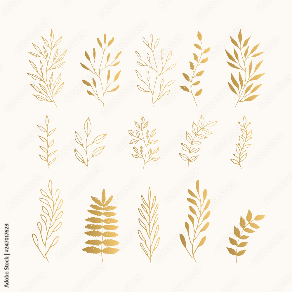 Set of golden summer herbs and leaves. Set of golden summer herbs and leaves.