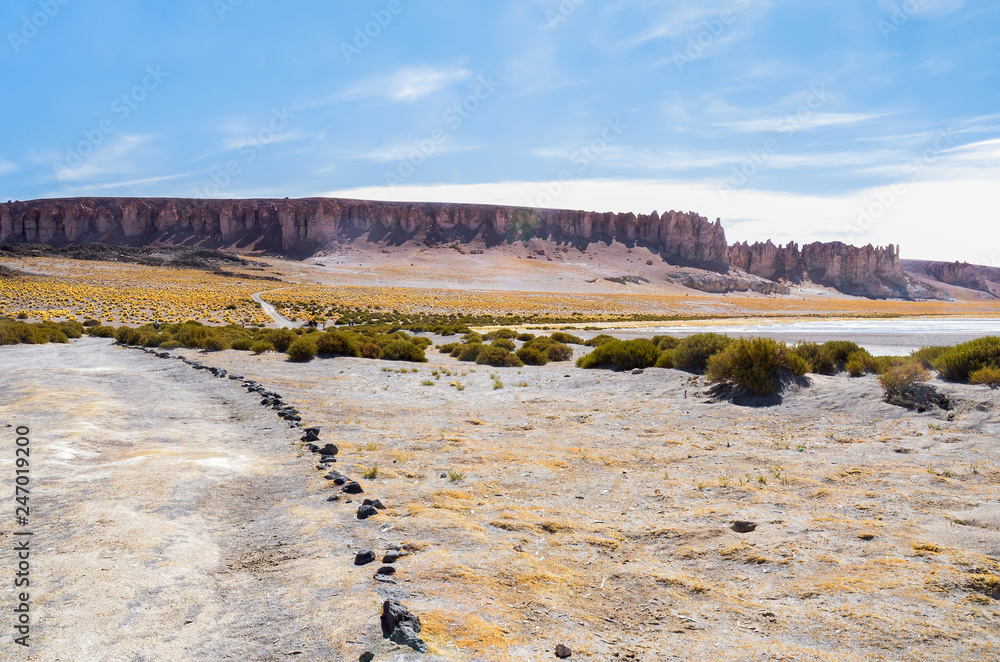 Salt Tare, Desert of the Atacama, Chile