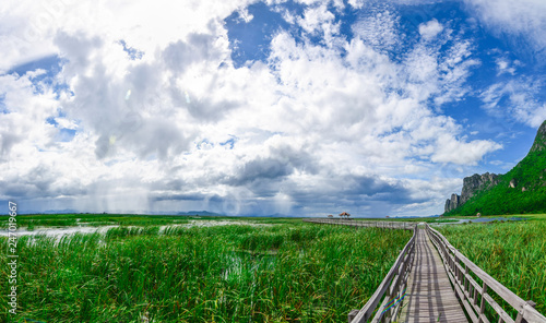 Wooden Bridge in lotus lake at Khao Sam Roi Yot National Park, Thailand.Landscape view and natural lake with wooden footbridge