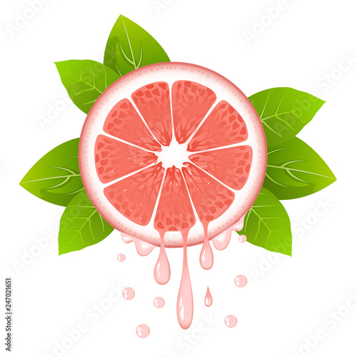 Realistic grapefruit slice with leaves and drops of juice. Juicy fruit. Fresh citrus design on white vector illustration