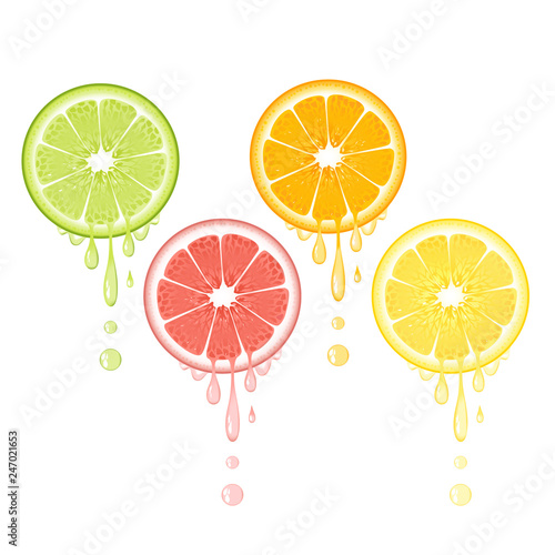 Realistic citrus slice set with leaves and drops of juice. Juicy lemon grapefruit lime and orange fruit. Fresh organic fruit design on white background vector illustration