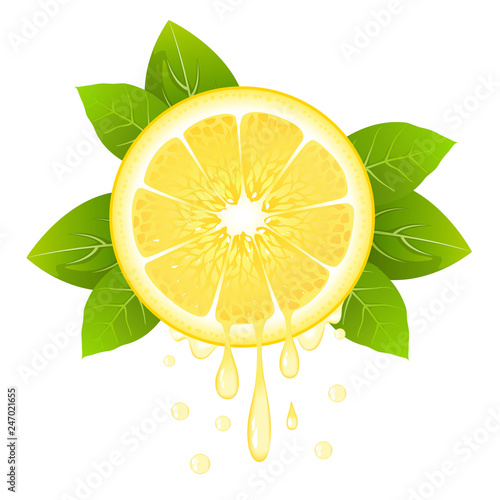 Realistic lemon slice with leaves and drops of juice. Juicy fruit. Fresh citrus design on white vector illustration