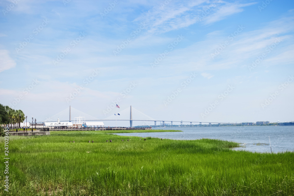 Beautiful summer landscape with green grass in the foreground, a bridge in the center and a clear blue sky. The famous bridge in the city of Charleston. Charleston,South Carolina / USA - July 21, 2018