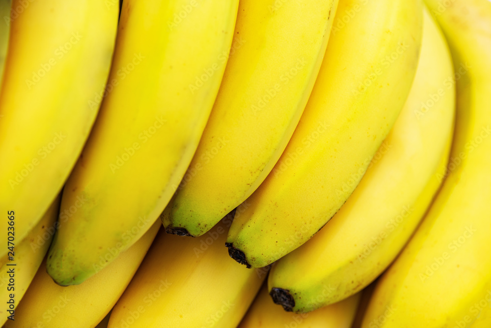 Bunch of fresh and ripe bananas in close-up