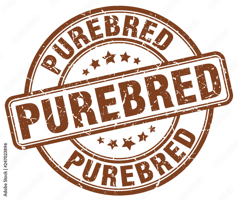Φωτογραφία purebred brown grunge round vintage rubber stamp