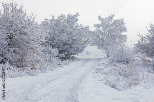 snowy road with trees at sunset, white winter landscape © serikbaib
