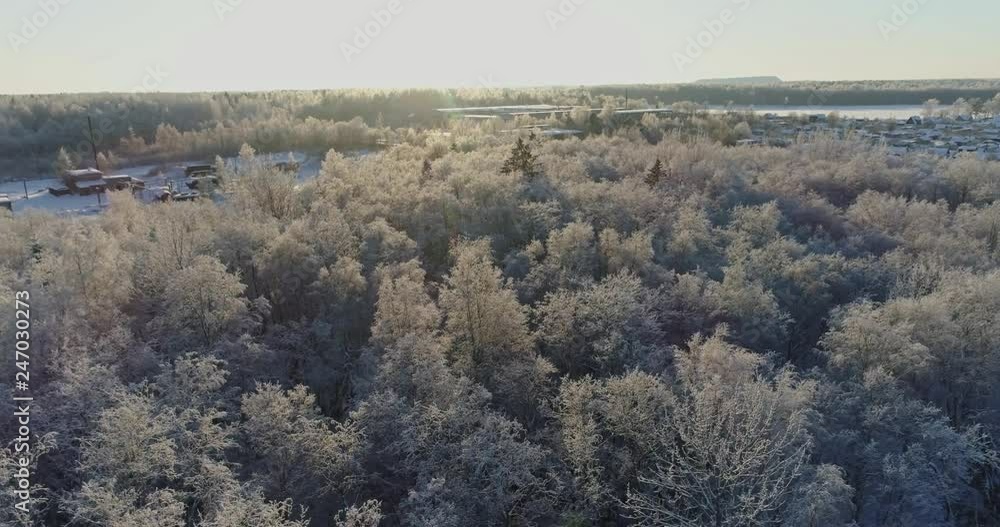 Aerial view of beautiful sunset at winter forest. Trees covered with snow and frost. Aerial view of beautiful sunset at winter forest. Trees covered with snow and frost.