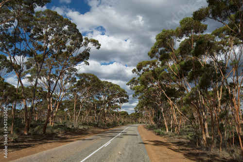 Road in Outback Australia