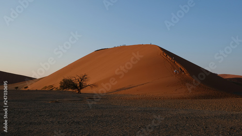 Düne 45 im Morgengrauen mit Touristen, Sossusvlei, Namibia
